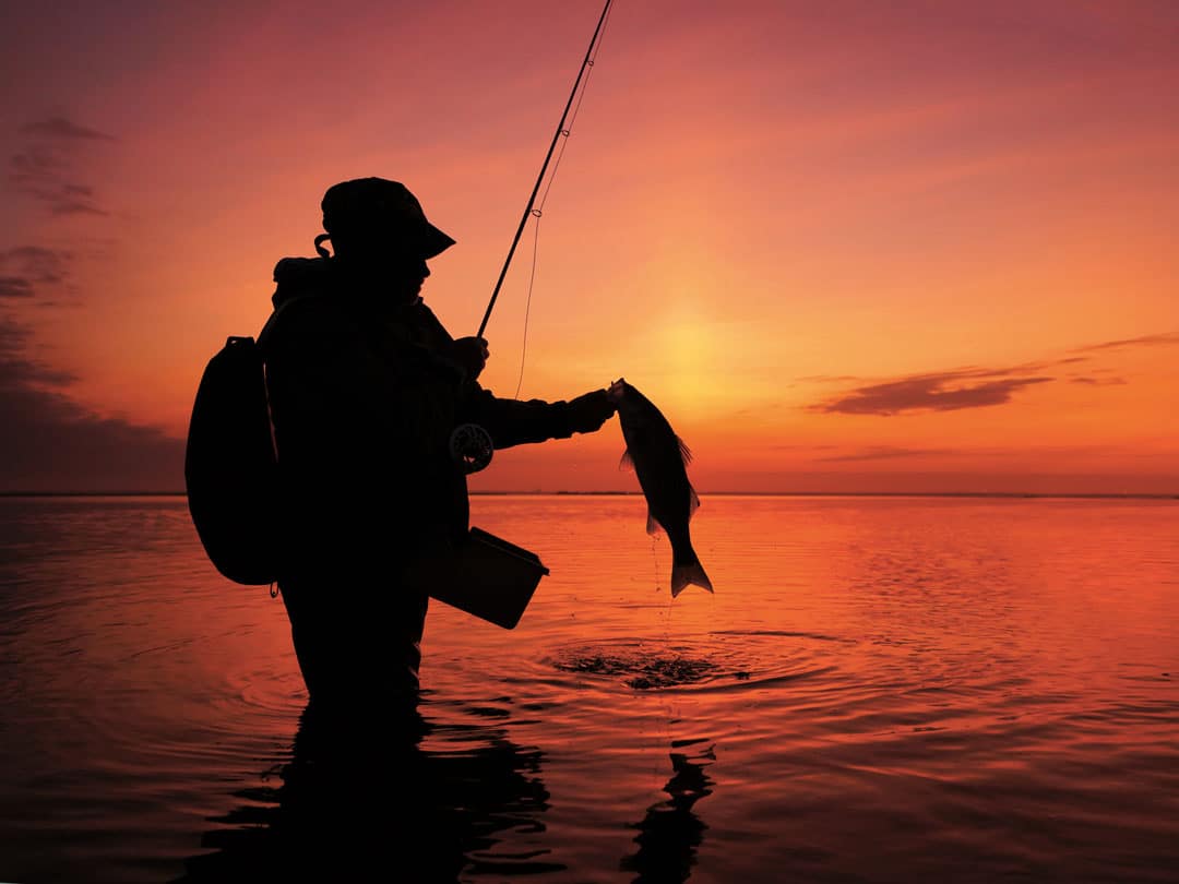 sunset striper barnegat bay