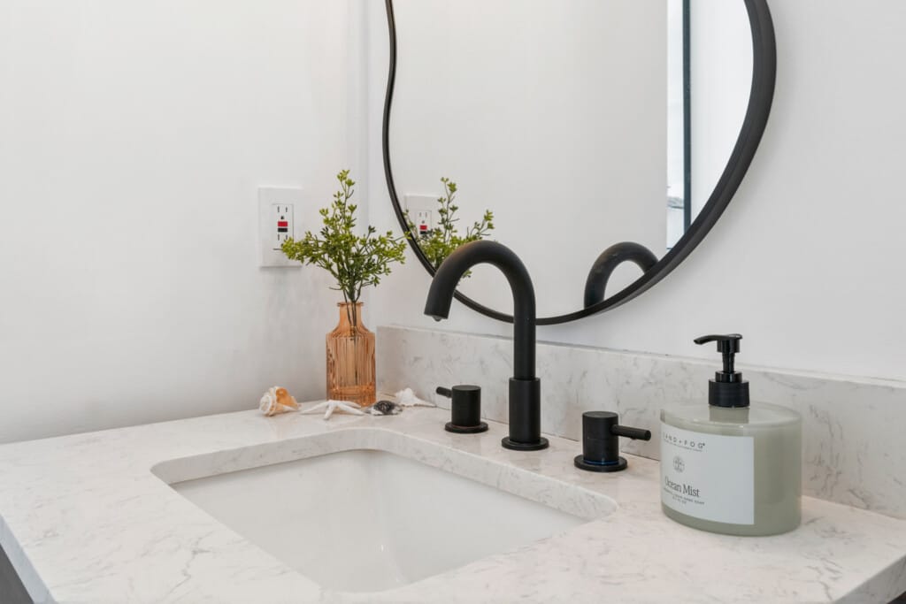 Close-up of white sink with black tap, hand soap, plant in vase, decorative shells, and wall mirror.