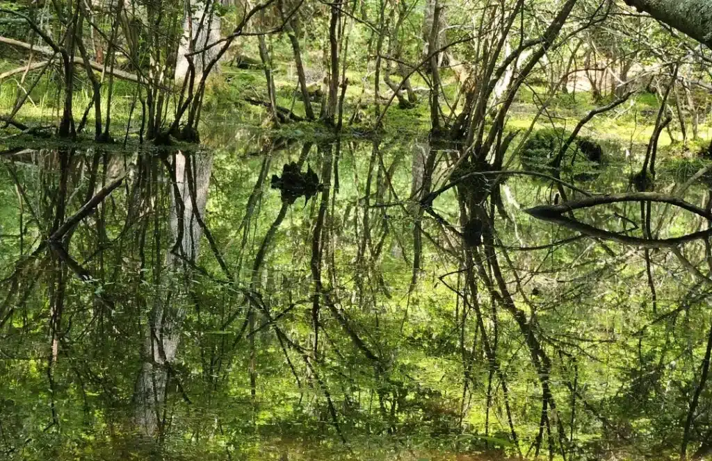 allaire orange walking trails