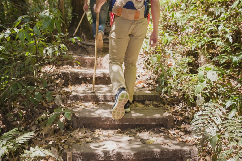 hikers walking up stairs jungle