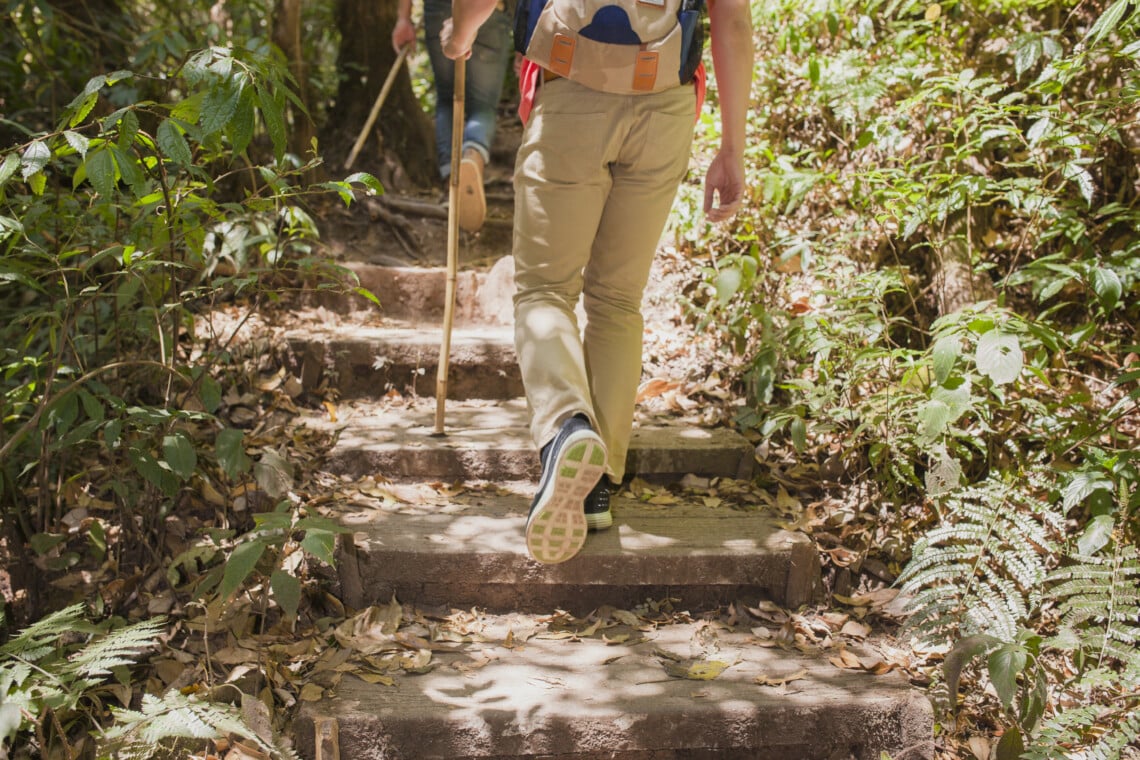 hikers walking up stairs jungle
